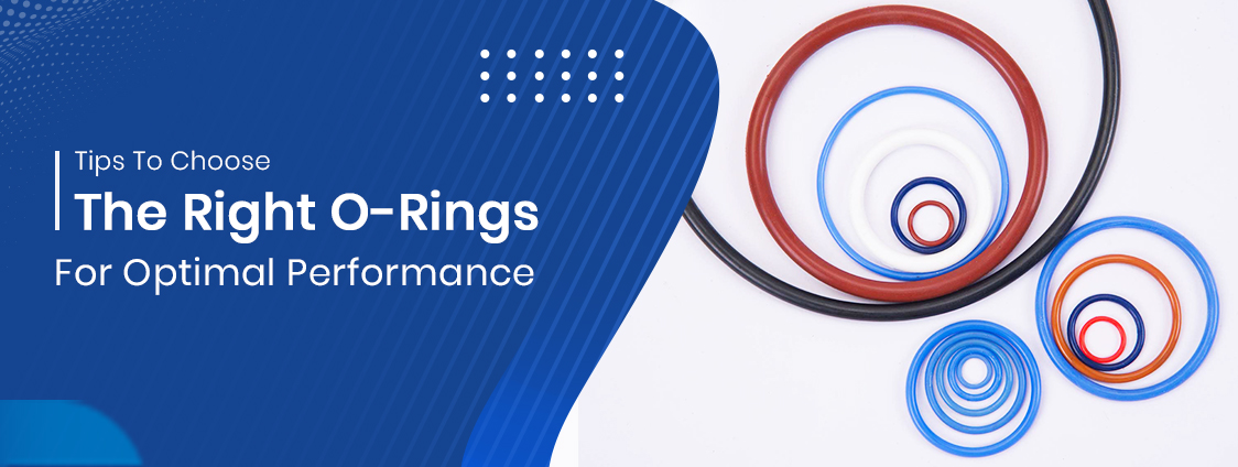 Perfect Large O-Rings For Optimal Performance