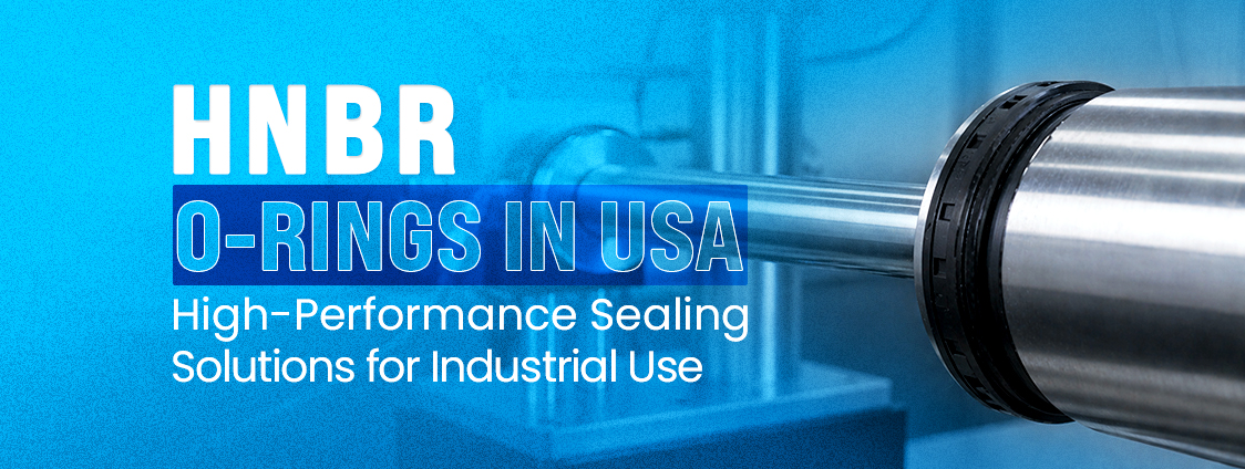 High-Temperature HNBR O-Rings in USA